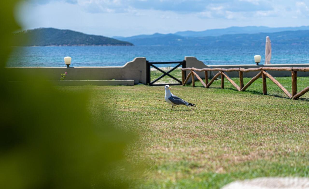 Alemar Estates Ouranoupolis Villa Kültér fotó